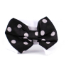 Beny černo-bílý motýlek s puntíky pro psa s límcem - motýlek pro psy - vsepropejska.cz