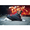 Dog15 mikina pro psa - mikiny pro psy - vsepropejska.cz