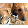 Paw Soother balzám na psí tlapky po - vsepropejska.cz