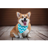 Kerry tyrkysový šátek pro psa - šátky pro psy - vsepropejska.cz