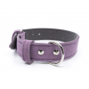 Velur fialový kožený obojek pro psa - vsepropejska.cz