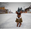 Deril manšestrová bunda pro psa - vsepropejska.cz