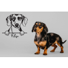 beautiful marble dachshund on a gray background 2022 08 26 12 14 17 utc