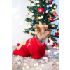 Trinid vánoční mikina pro psa - vánoční mikiny pro psa - vsepropejska.cz