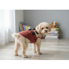 Bingo zimní bunda pro psa - zimní bunda pro psa - vsepropejska.cz