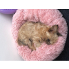 Hairy růžový chlupatý pelech pro psa - pelechy pro psy - vsepropejska.cz