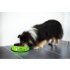 Empty miska pro psa s tlapkami - misky pro psy - vsepropejska.cz