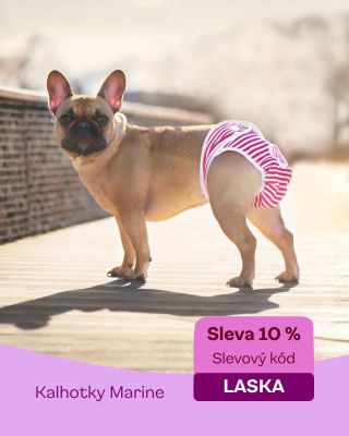 Styl a pohodlí v jednom 🐶 Kalhotky Marine teď se slevou 10 % s kódem LASKA. https://www.vsepropejska.cz/ #haracikahotky...
