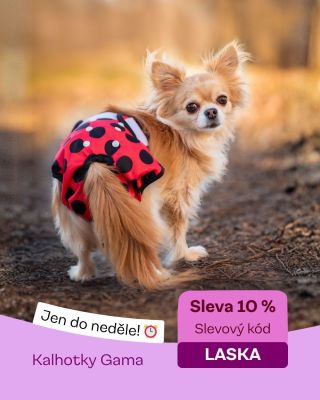 Pohodlí, které pejsek opravdu ocení 🐾 Kalhotky Gama teď se slevou 10 % s kódem LASKA – jen do neděle. Více na...