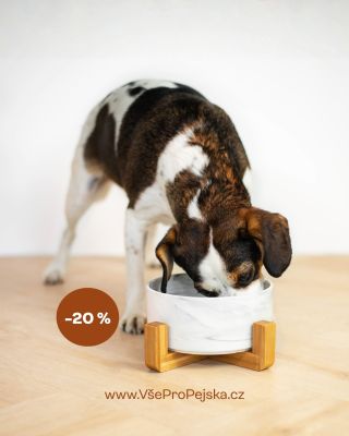 Miska, která sedne pejskovi i Vaší domácnosti 🐶 Při výběru se vyplatí myslet na velikost pejska, stabilitu misky i to,...