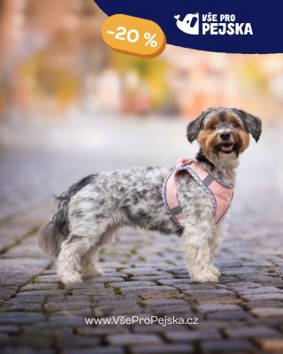 🐕 Oblíbené postroje pro psy teď se slevou 20 %. Lehké, sportovní i praktické varianty na každodenní venčení. Vyberte...
