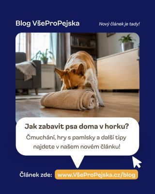 Když je venku moc horko, nemusí být řešením dlouhá procházka. ☀️🐶 V novém článku najdete tipy na čmuchání, hry s pamlsky a...