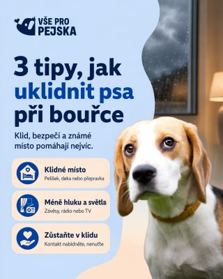 Bouřka může být pro některé psy velmi nepříjemná. Hlasité rány, záblesky i změny tlaku v nich mohou vyvolat neklid nebo...