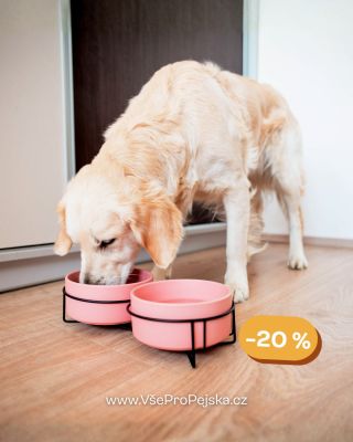 Ne každému pejskovi vyhovuje stejná miska 🥣 Při výběru se vyplatí zaměřit na velikost psa, jeho způsob krmení a také na...