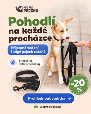 🐕 Tahá váš pejsek občas víc, než byste chtěli? Správné vodítko může zpříjemnit každodenní procházky vám oběma. 💙 👉...
