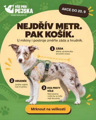 📏 Nejdřív metr. Pak košík. Správné změření vám výrazně usnadní výběr velikosti postroje a ušetří zbytečné zkoušení. 👉...