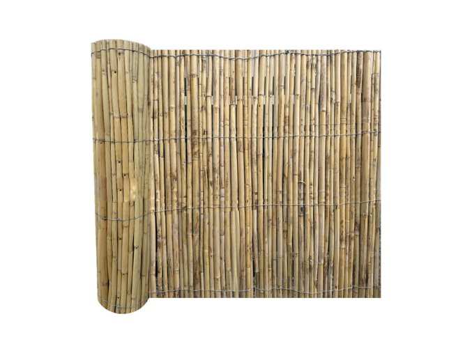 Bambusový plot