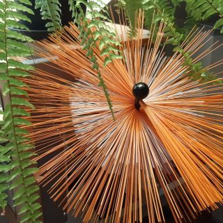 Na naše poměry to není běžný průměr kartáče, ale i takové krasavce máme na www.vseproteplo.cz. Dimenze 450 mm, kombinace...