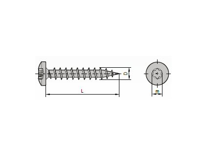 vrut Torx velikost 5