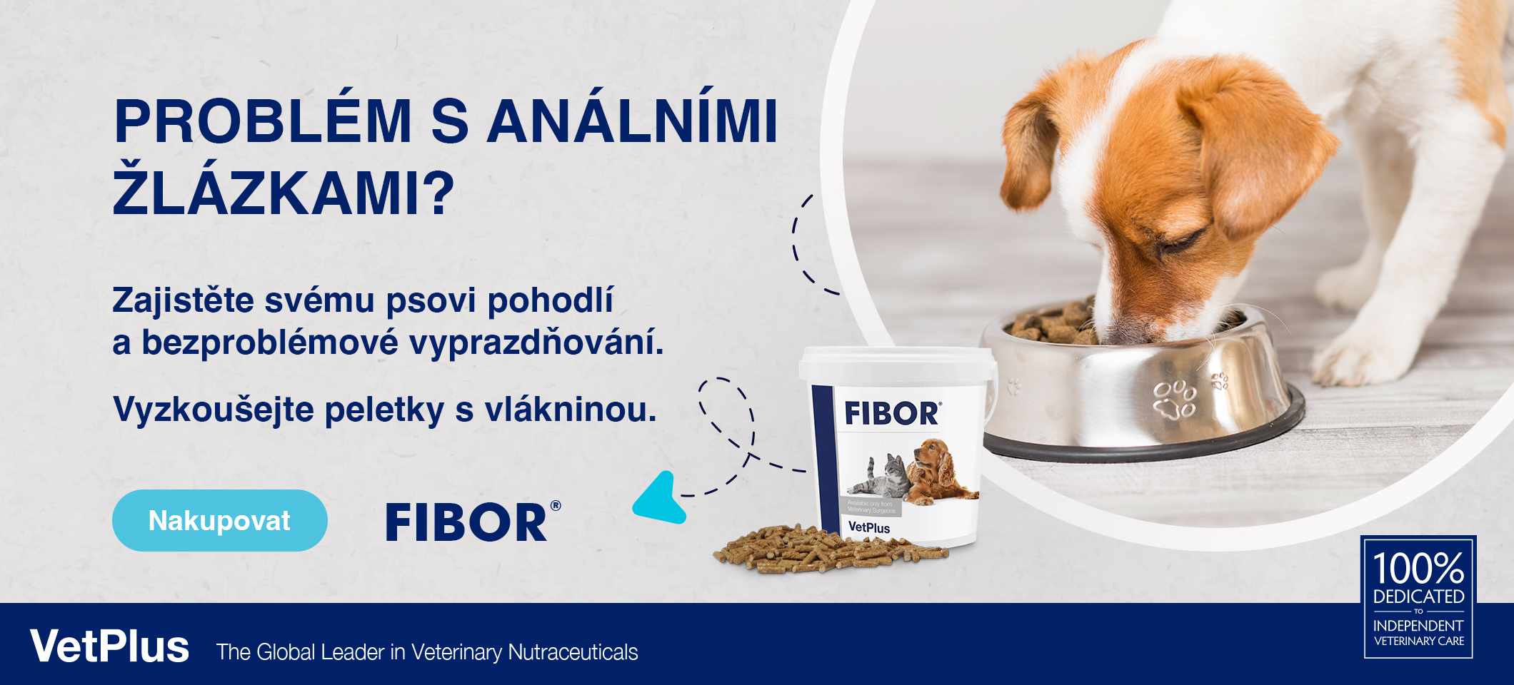 Fibor