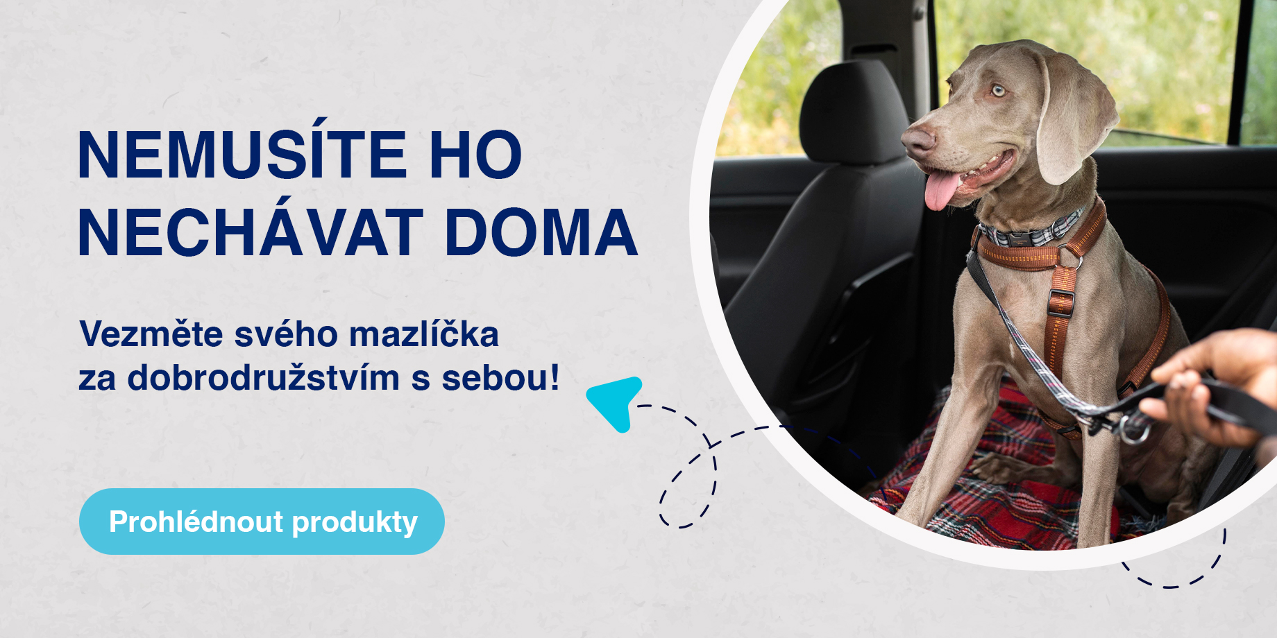 Cestování se psem