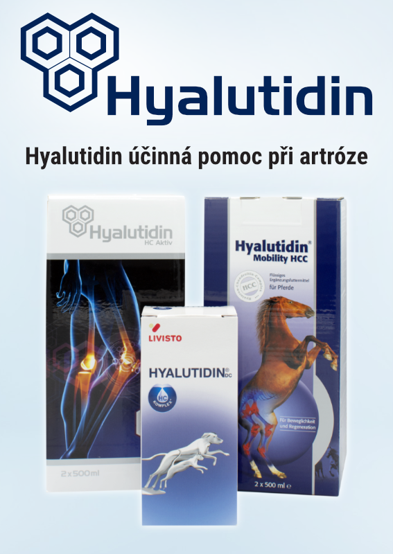 hyalutidin.cz