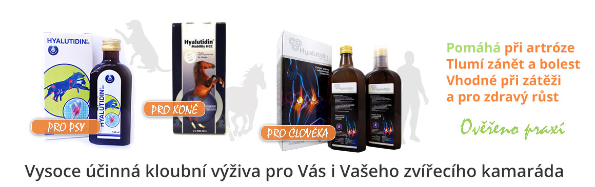 HYALUTIDIN_DC_AKTIV_2x125ml