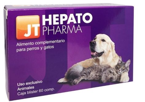 Detoxikace