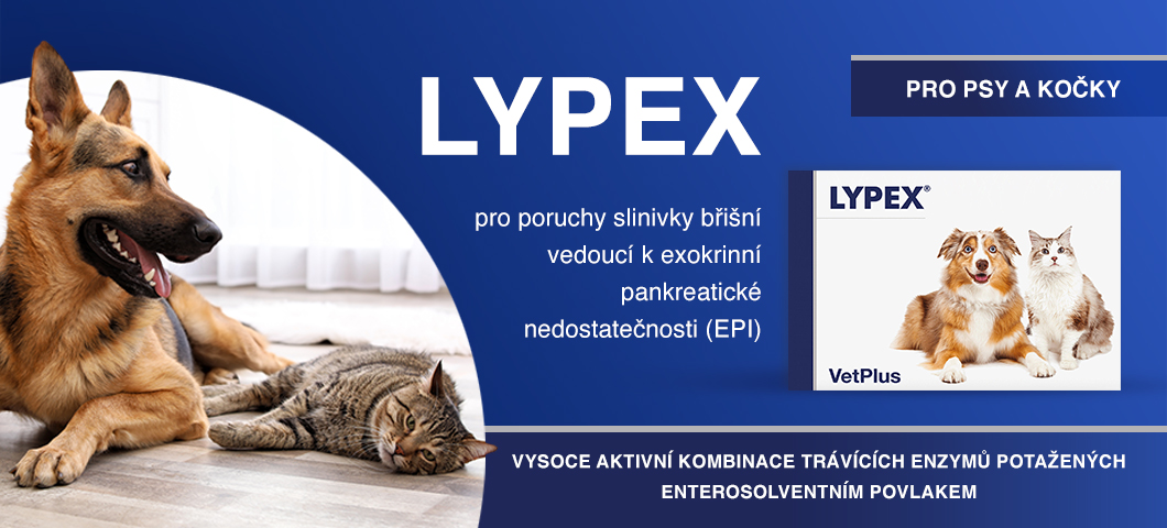 Lypex