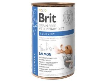 brit vd recovery