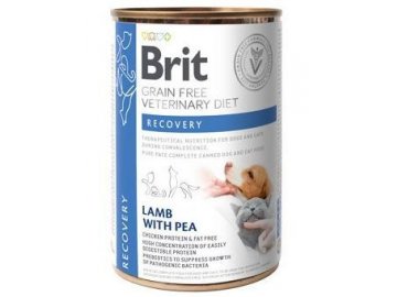 Brit VD Dog+Cat GF konz. Recovery 400g