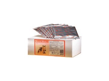 Master Muscle pro koně 600g