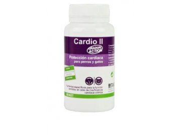 cardio 2