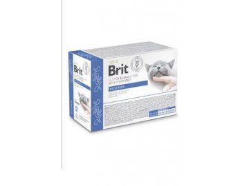 Brit VD Cat Pouch fillets in Gravy Recovery 12x85g