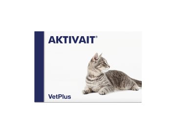 Aktivait Cat