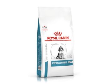 royal hypo puppy