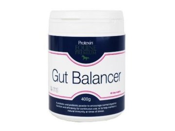 Protexin Gut Balancer pro koně 400g