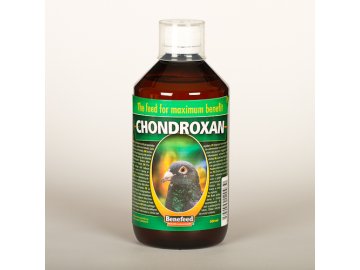 Chondroxan holub 500ml