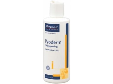 pyoderm