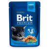 brit premium cat kapsa chicken chunks for kitten 100g