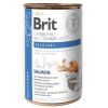 brit vd recovery