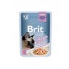 Brit Premium Cat D Fillets in Gravy for Sterilised 85g