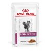 Royal Canin VD Feline Renal kapsa Fish 12x85g