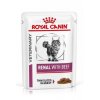 Royal Canin VD Feline Renal kapsa Hovězí 12x85g