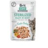 Brit Care Cat Fillets in Gravy Steril. Tend.Turkey 85g