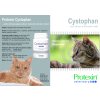 Protexin Cystophan pro kočky 30tbl
