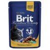 Brit Premium Cat kapsa with Chicken & Turkey 100g