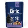 Brit Premium Cat kapsa with Cod Fish 100g