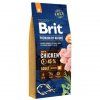 brit