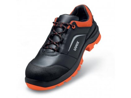 95062 Main jpg5dc0330d1b3b9 540x540